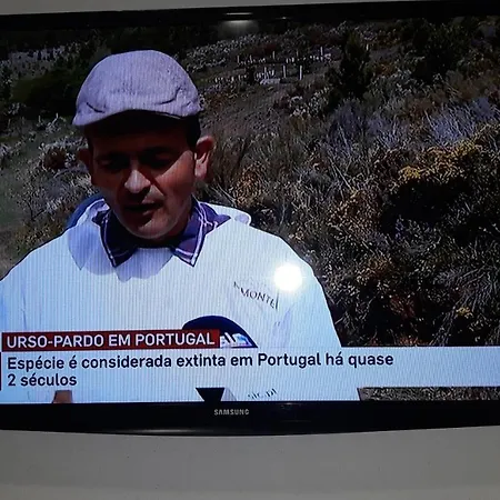 Apimonte House B Дом отдыха *