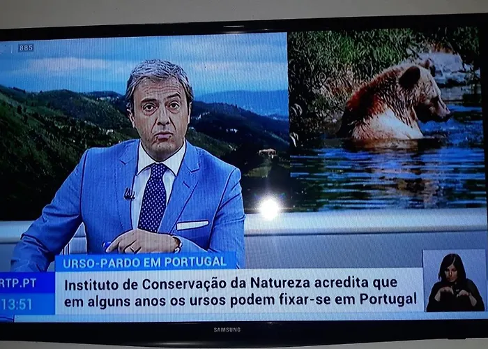 Apimonte House B * Bragança