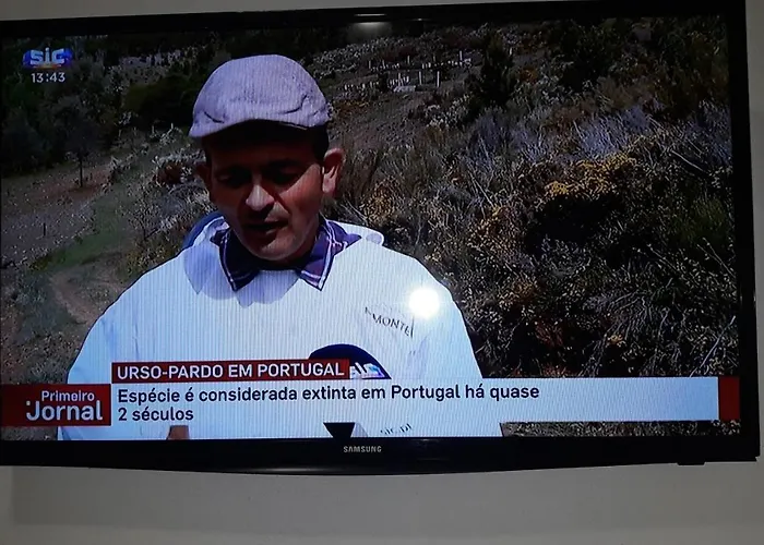 Apimonte House B Holiday home *